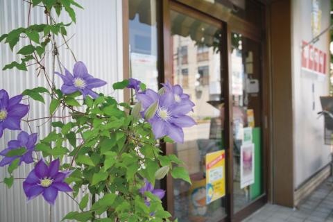 お店の前でお客さんを迎えるテッセンの花