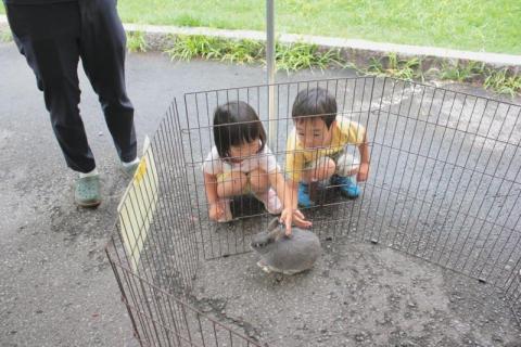 農林高校生徒玄関前では小動物とのふれあいに笑顔が