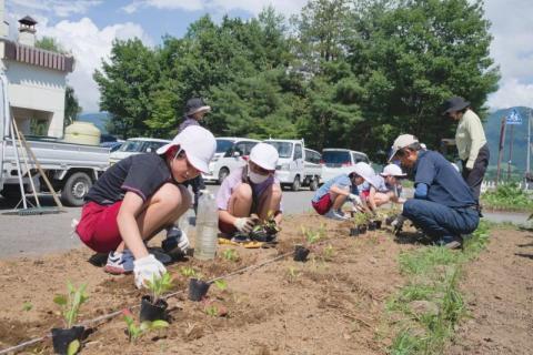 地域住民と協働して校歌に歌われるオミナエシを植えて