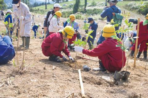 数十年後に立派な森となることを夢見ながら苗木を植えて