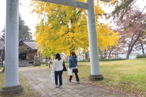 秋に彩られる飯山城址を見学する長野県立大生たち