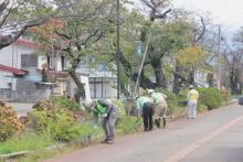 道場の雑草や泥などを集める参加者