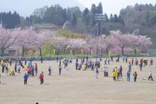 桜や菜の花とともに楽しんだゲートボール大会
